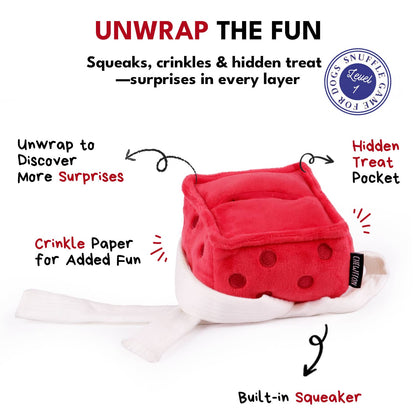 CHEWFFON - CHEWFFON Gift Box Dog Toy Crinkle, Squeak & Treat Puzzle