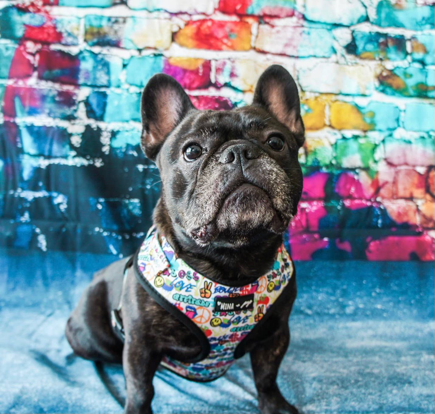 Mina + Pup - Colorful Graffiti Edition Adjustable Dog and Cat Harness