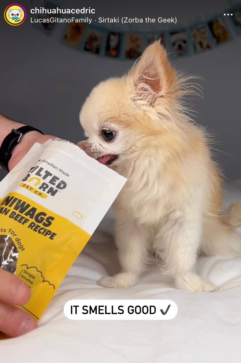 Tilted Barn Pet Co. - Beef Miniwags Treats For Dogs 100g/3.53oz