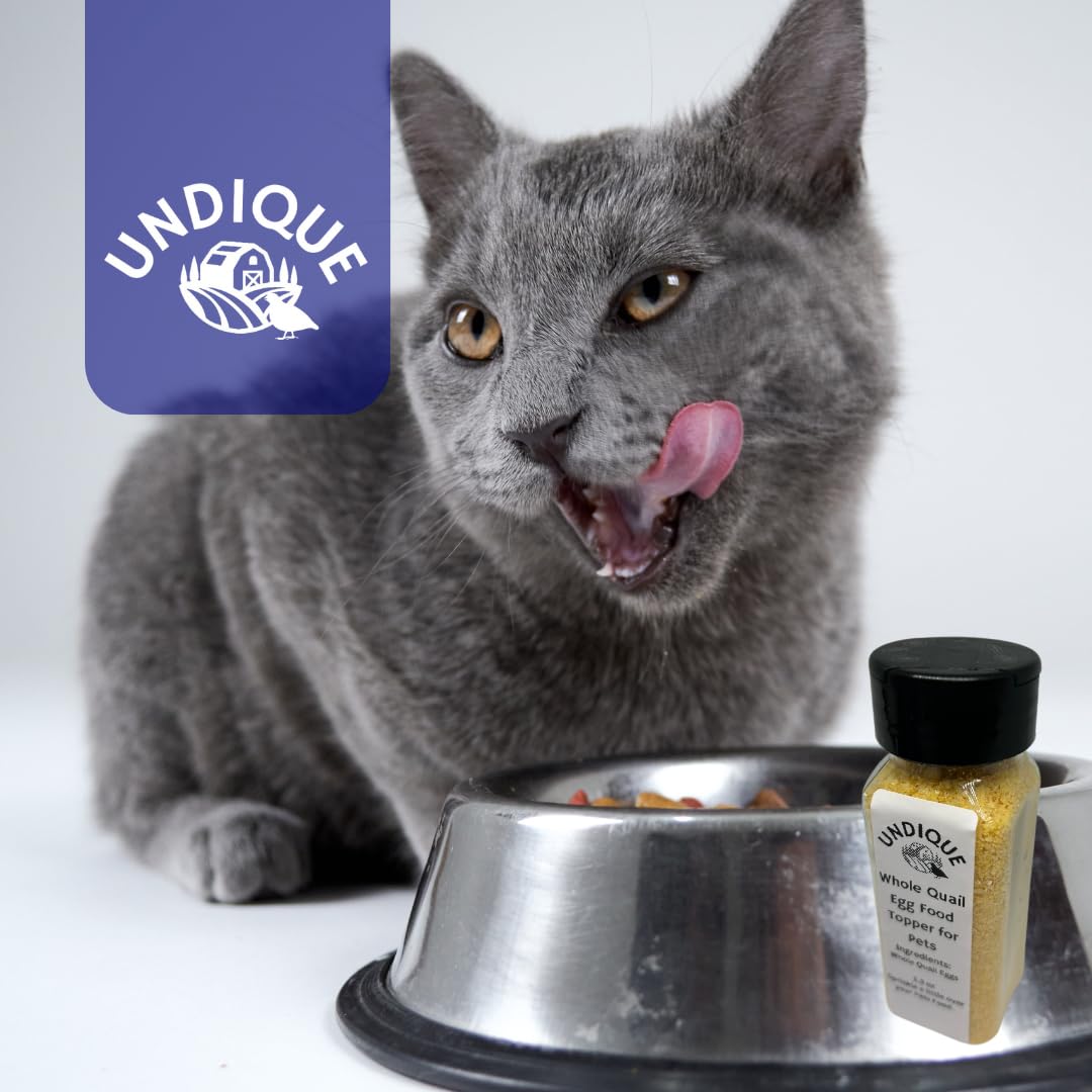 Quailicious Boost - Made in USA High-Protein Quail Egg Cat Food Topper, Freeze-Dried for Cat Digestive Health - Nutrient-Rich, Grain-Free Digestive Support for Cats, Ideal for Picky Eaters - Doot's Pet LLC Collars For A Cause
