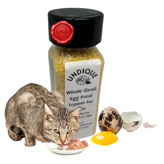 Quailicious Boost - Made in USA High-Protein Quail Egg Cat Food Topper, Freeze-Dried for Cat Digestive Health - Nutrient-Rich, Grain-Free Digestive Support for Cats, Ideal for Picky Eaters - Doot's Pet LLC Collars For A Cause