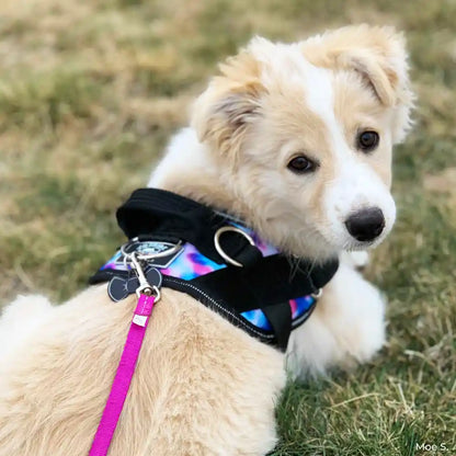Joyride Harness - Tie Dye Joyride Basic Essential Dog Harness 1.0 - XL