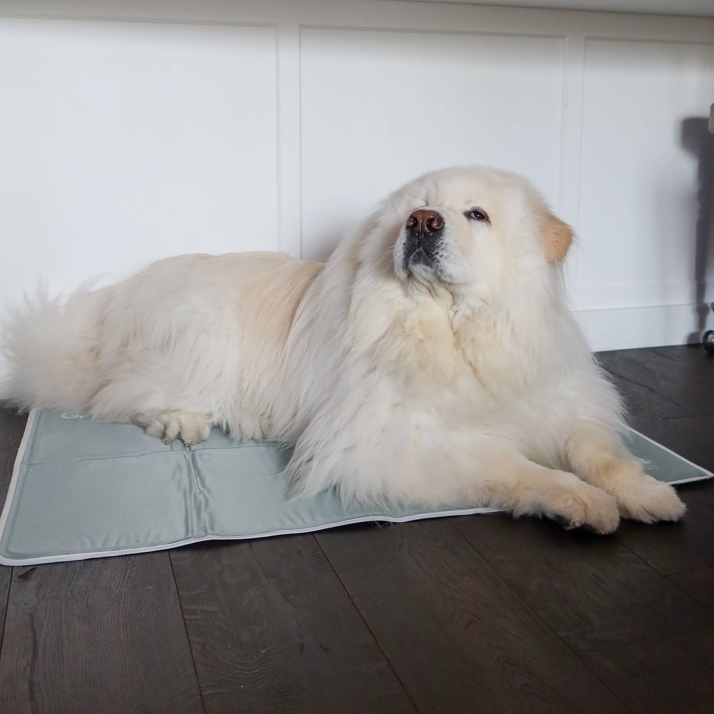 The Green Pet Shop - Cool Pet Pad