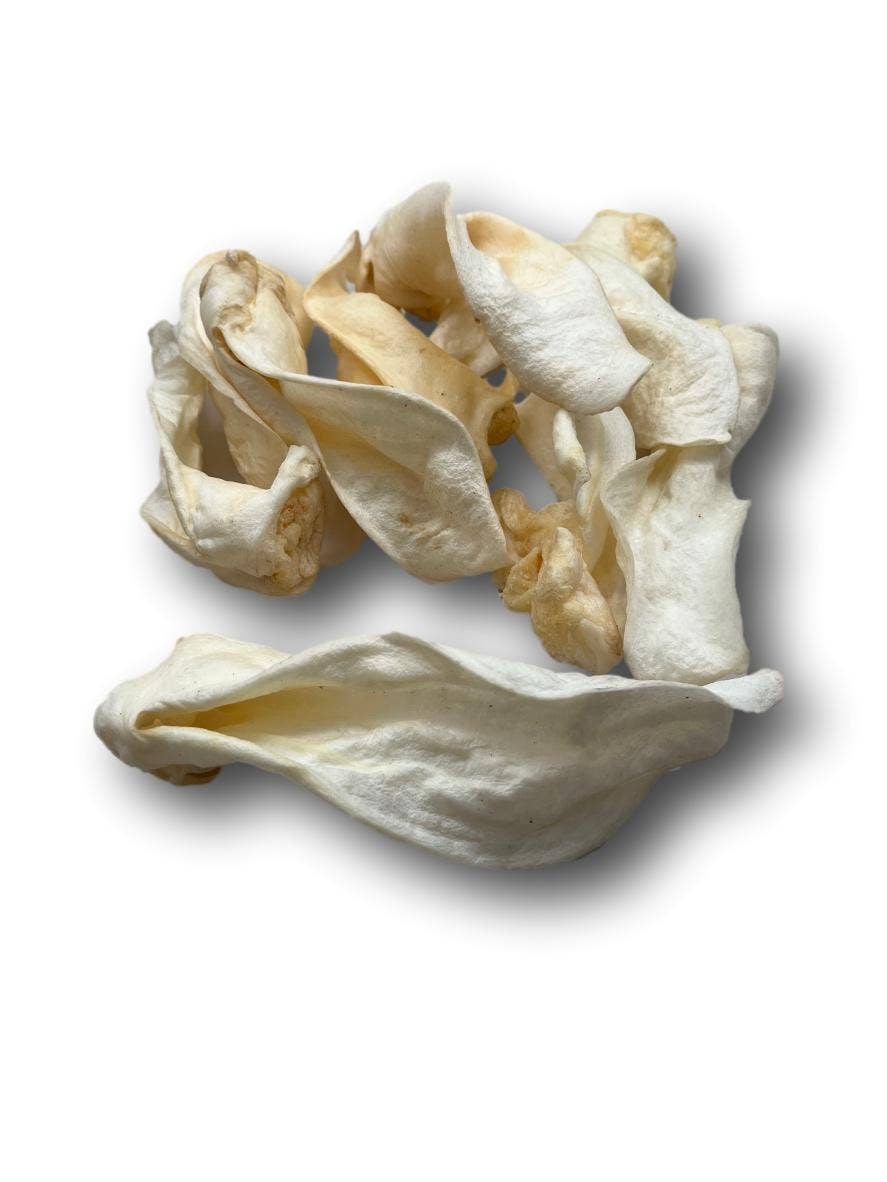 Healthy Dog Chews - Lamb Ears  (LB0100LE) - Single