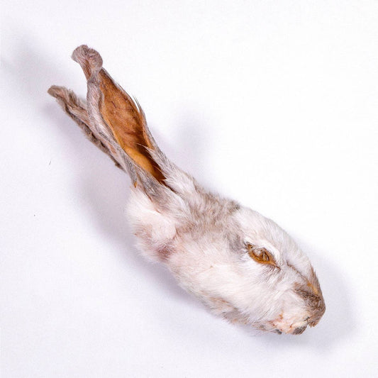 Doot's Chew Bar - Rabbit Head