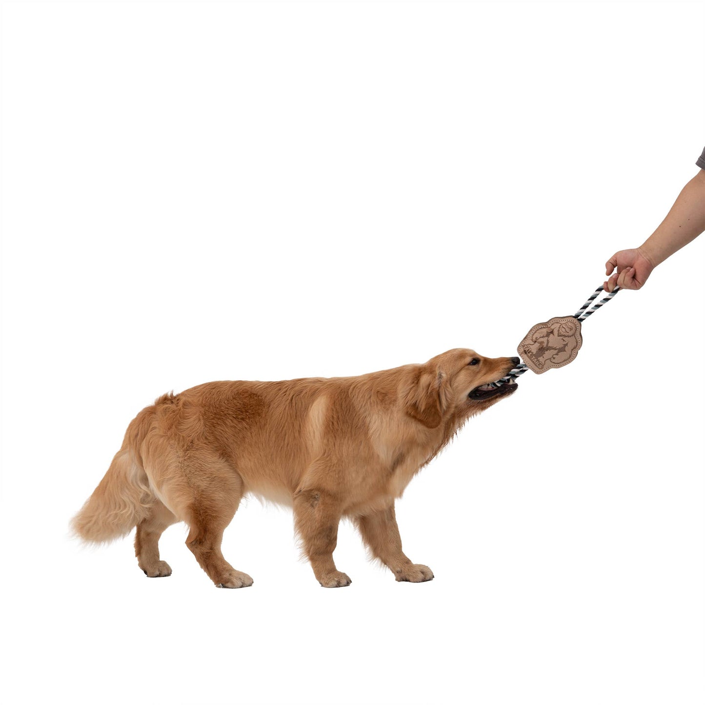 Tall Tails - Tall Tails Natural Leather Big Foot Tug Dog Toy