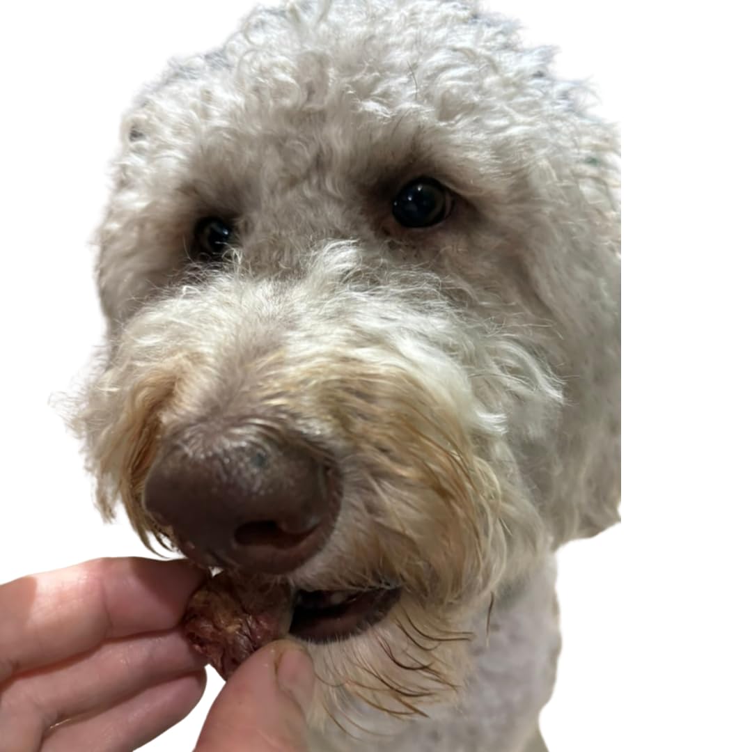Freeze-Dried Duck Hearts, 3 oz, Single Ingredient Dog & Cat Treats, USA Made - Doot's Pet LLC Collars For A Cause