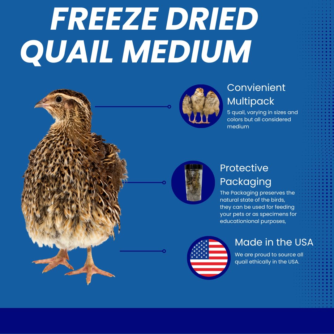 Whole Quail Chick for Carnivore Pets - Natural Prey Feeding - Quality Protein Source Medium Size Chicks 5 Count - Doot's Pet LLC Collars For A Cause