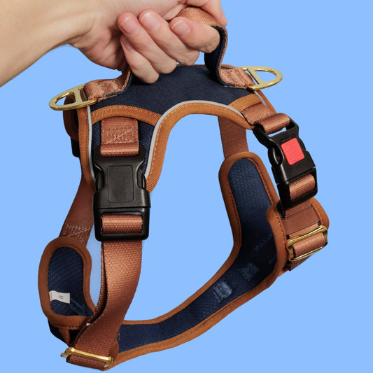Dizzy Dog Collars - No Pull Dog Harness | Step in | Reflective | Heavy Duty | Easy Reach Handle | The Coco - Medium/Large