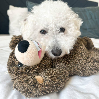 Tall Tails - Grizzly Rope Body Dog Toy