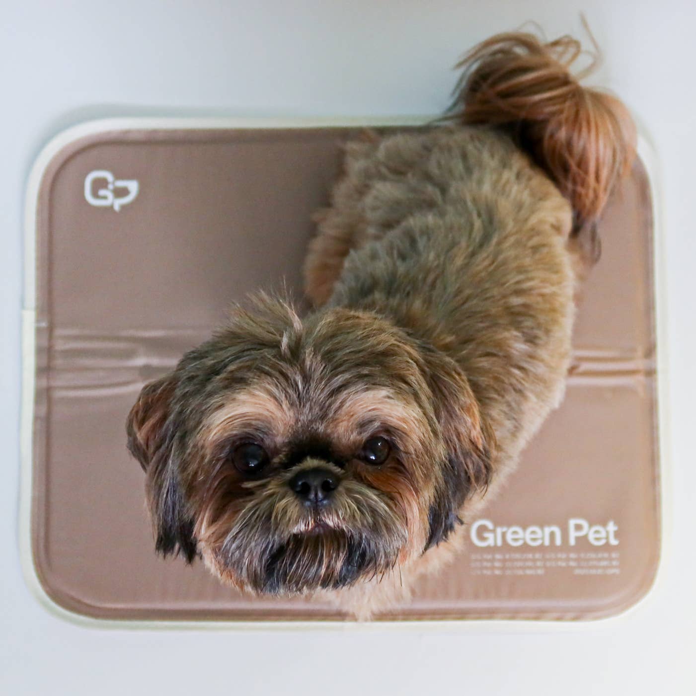 The Green Pet Shop - Cool Pet Pad
