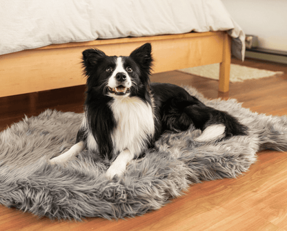 PupRug by Paw.com® Faux Fur Orthopedic Dog Bed - Curve Charcoal Grey - Doot's Pet LLC Collars For A Cause