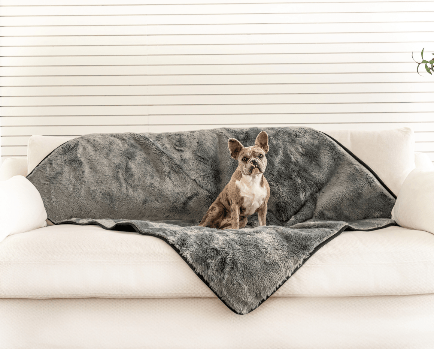 PupProtector™ Short Fur Waterproof Throw Blanket - Charcoal Grey - Doot's Pet LLC Collars For A Cause