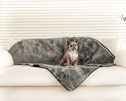 PupProtector™ Short Fur Waterproof Throw Blanket - Charcoal Grey - Doot's Pet LLC Collars For A Cause