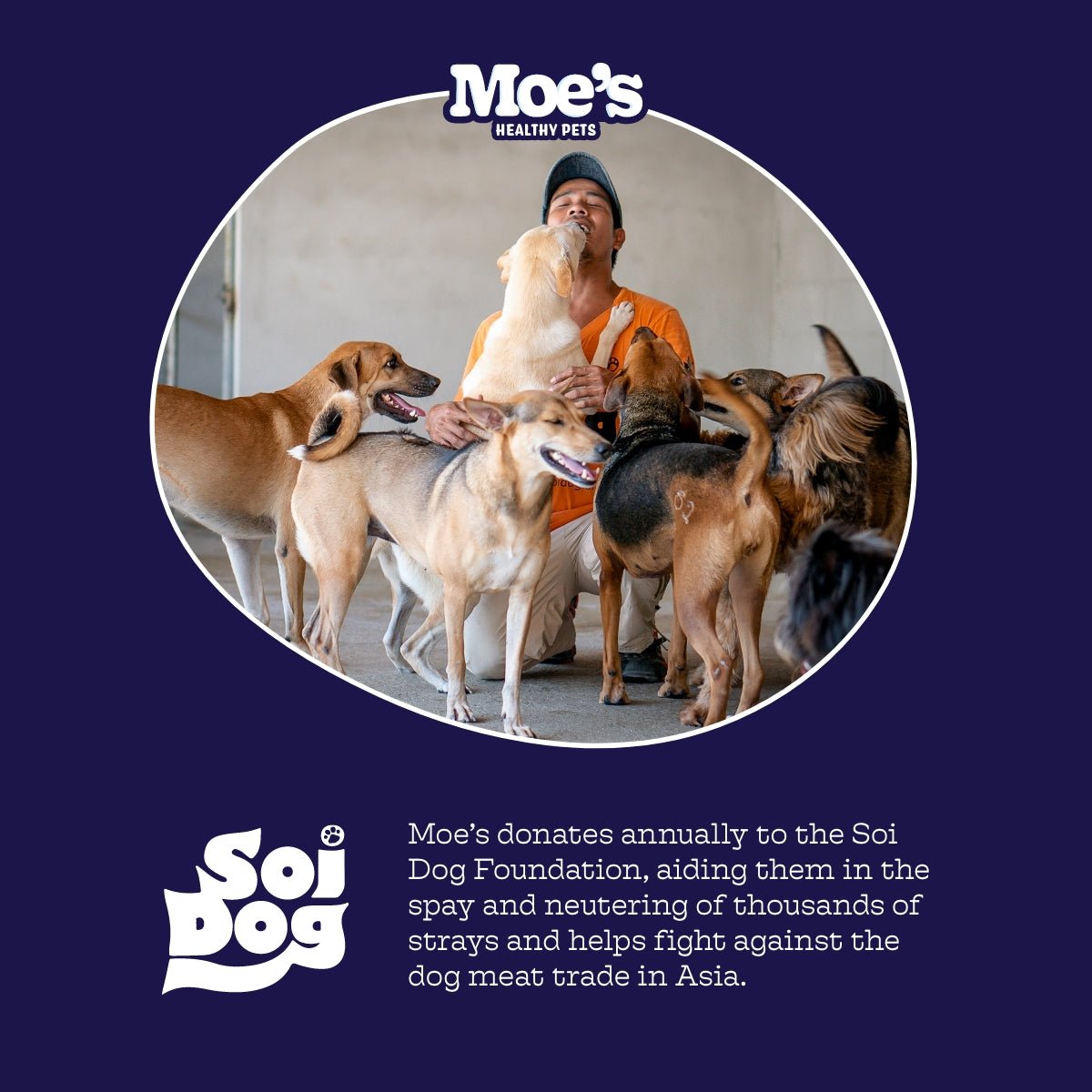 Chillout Chews - Doot's Pet LLC Collars For A Cause