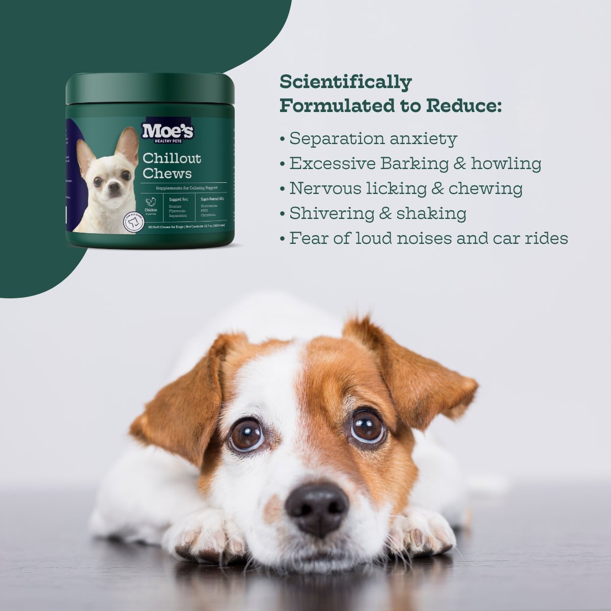 Chillout Chews - Doot's Pet LLC Collars For A Cause