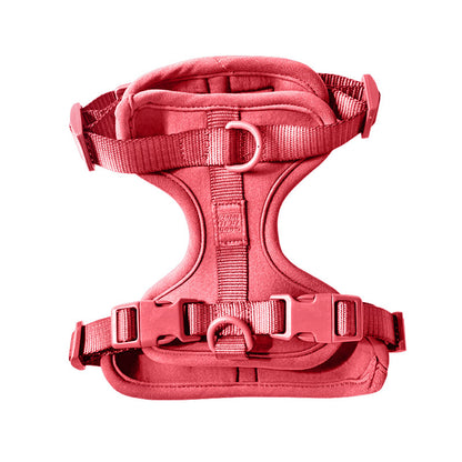 Come Here Buddy Harness