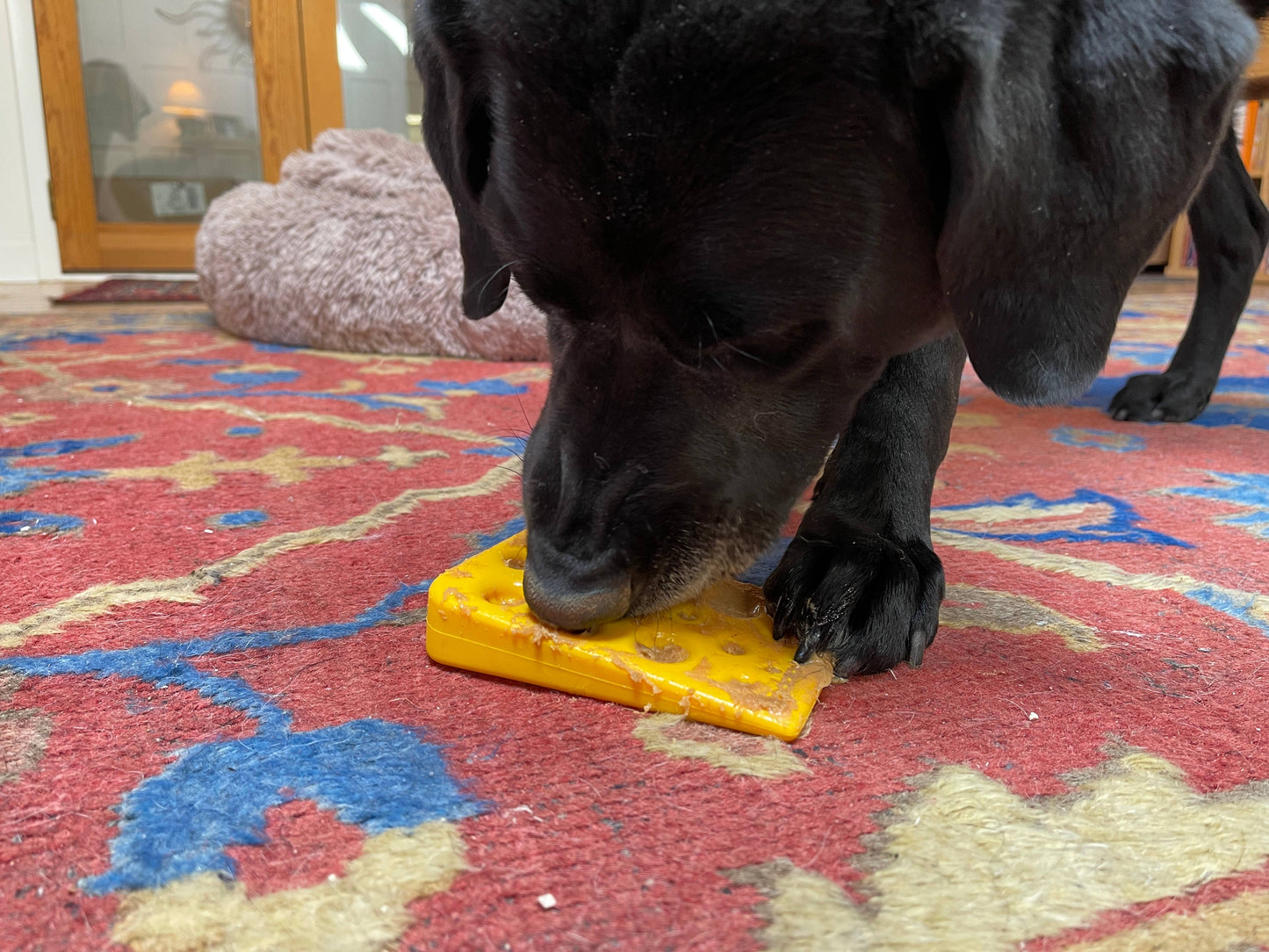 SodaPup - Swiss Cheese Wedge Durable Nylon Dog Chew Toy for Aggressive