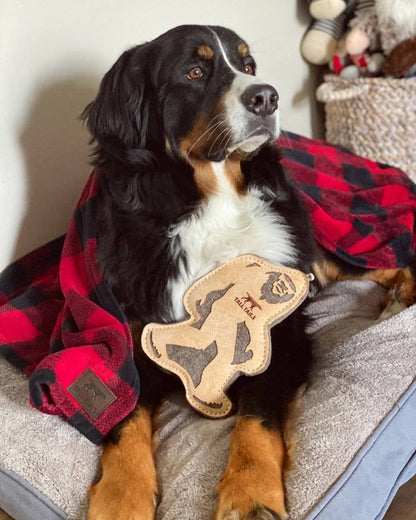 Tall Tails - Tall Tails Natural Leather & Wool Big Jr. - 9"