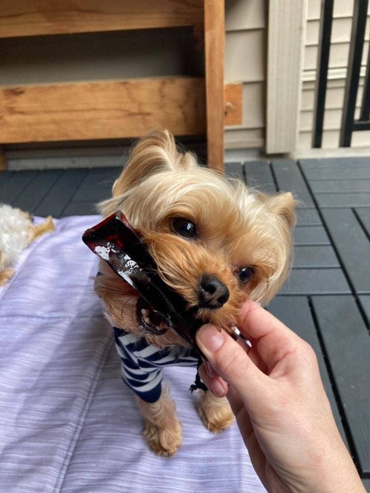 Wag & Bright Supply Co. - Mighty Marrows Collagen Dental Chew - Bacon