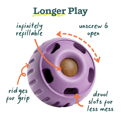 Woof - The Pupsicle - Lavender - Doot's Pet LLC Collars For A Cause