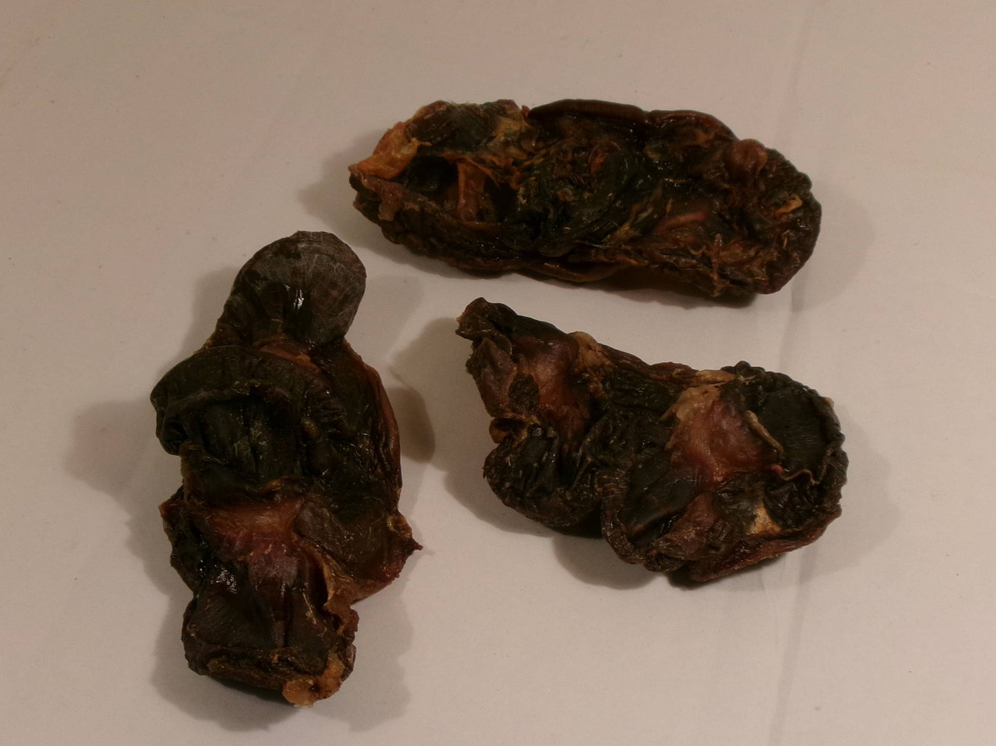 Doot's Chew Bar - Turkey Gizzard Whole Dehydrated