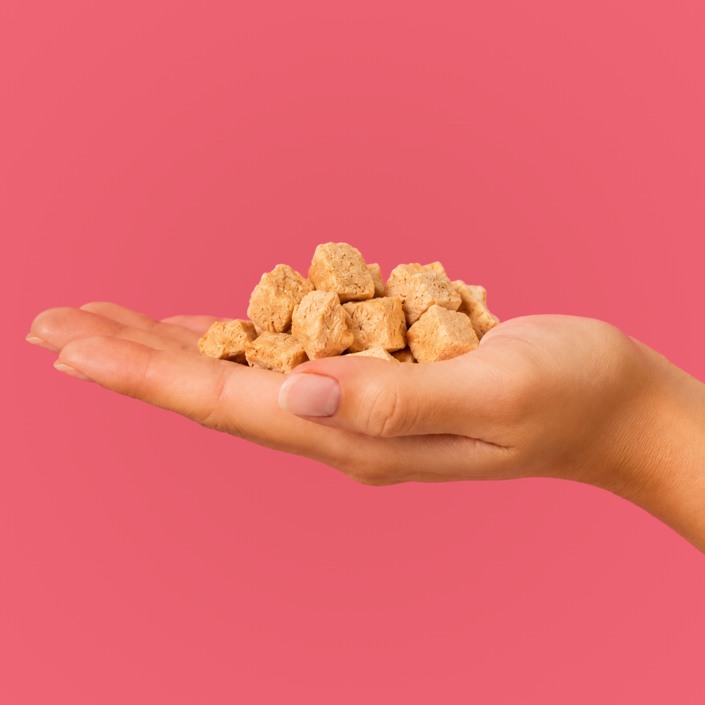 Doot's Bulk Bin - Freeze-Dried Salmon Dog Treats - 2oz