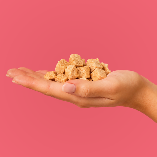 Doot's Bulk Bin - Freeze-Dried Salmon Dog Treats - 2oz
