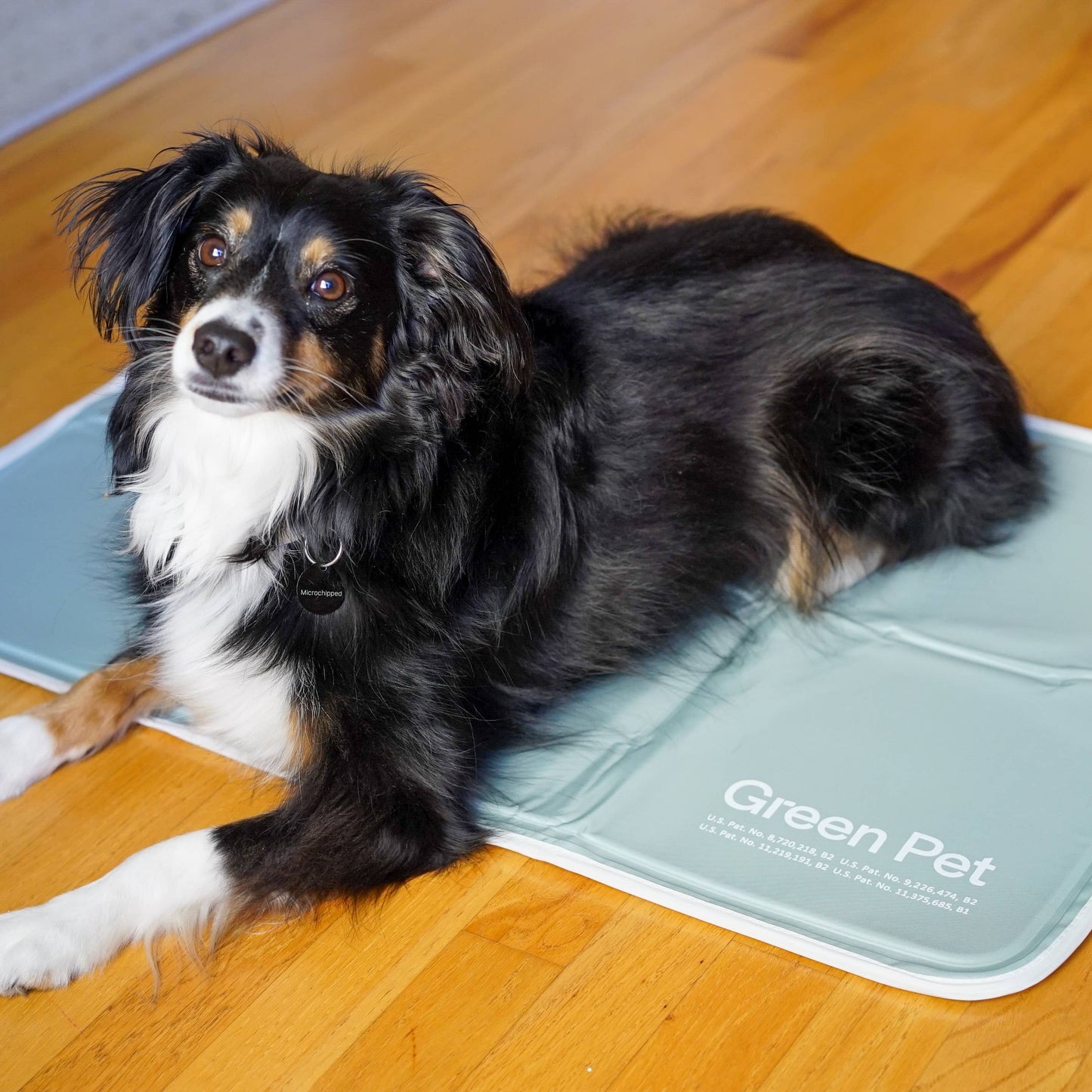 The Green Pet Shop - Cool Pet Pad
