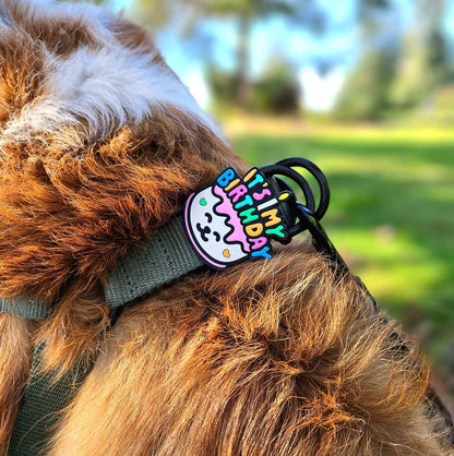 Jiby Dog Crew - Birthday Dog Jiby