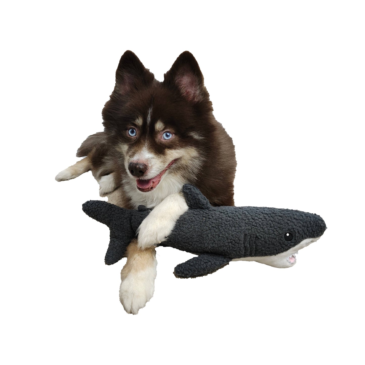 Barker's Bowtique - Gilly the Shark Fleece Dog Toy
