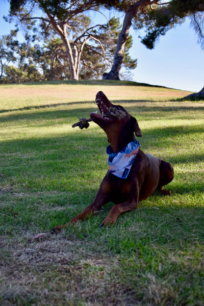 Doot's Chew Bar - Dogginstix - Braided Sticks Lamb Collagen Double Knots