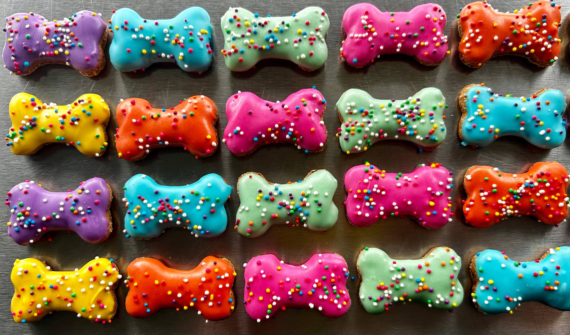 YumYum4DOGS - Mini Funsies bone dog treat- Single - Doot's Pet LLC Collars For A Cause