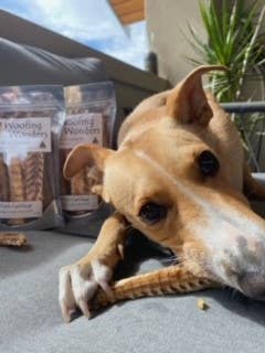 Doot's Chew Bar - Woofing Wonders - Shark Cartilage Bulk- Single