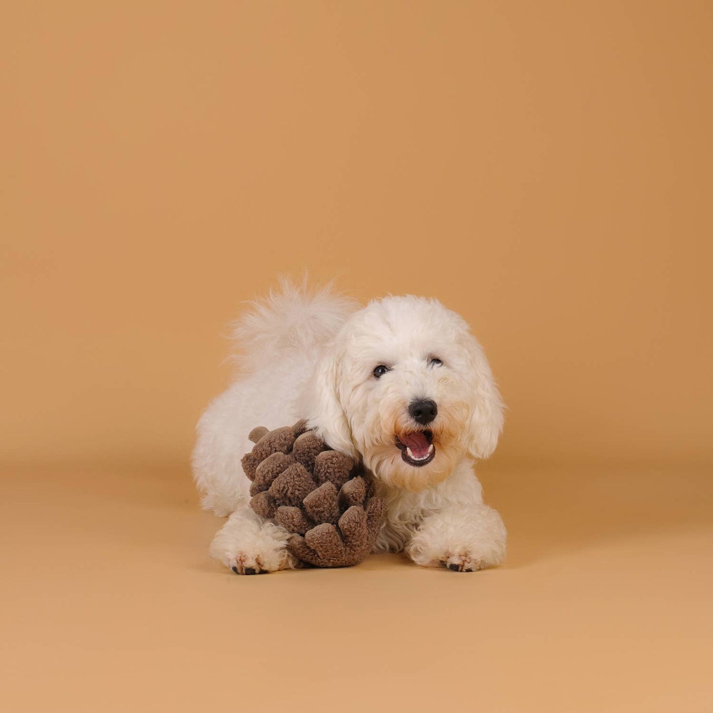 CHEWFFON - CHEWFFON Pinecone Snuffle & Squeak Dog Toy
