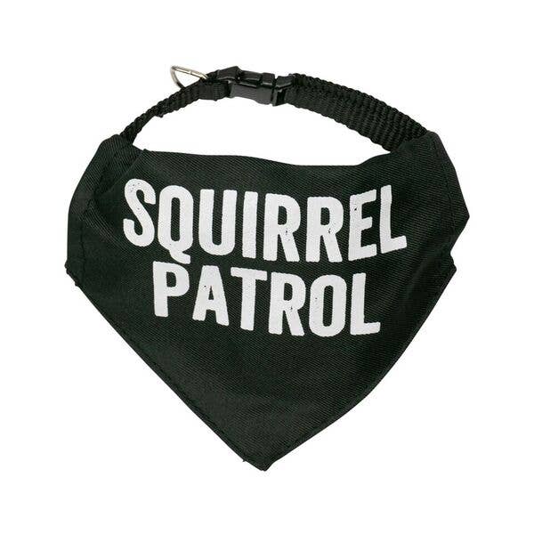 SNARK CITY - Squirrel Patrol Pet Bandana/Collar