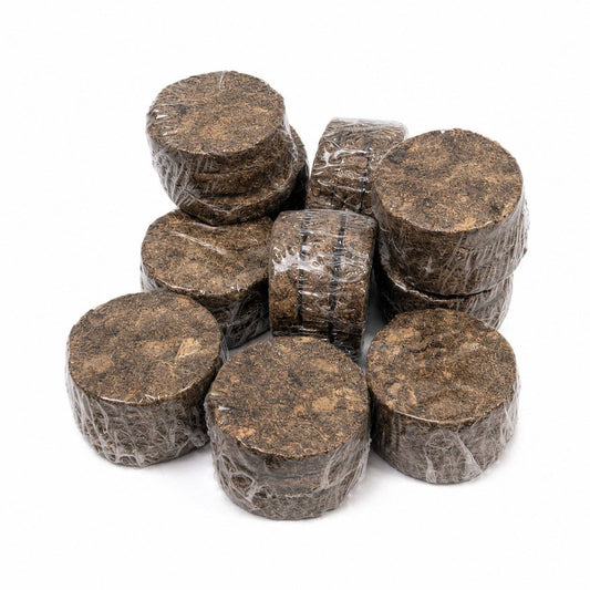 Doot's Chew Bar - 3" Water Buffalo Tripe Burgers for Dogs – Single-Ingredient Natural Treat | 3-Pack