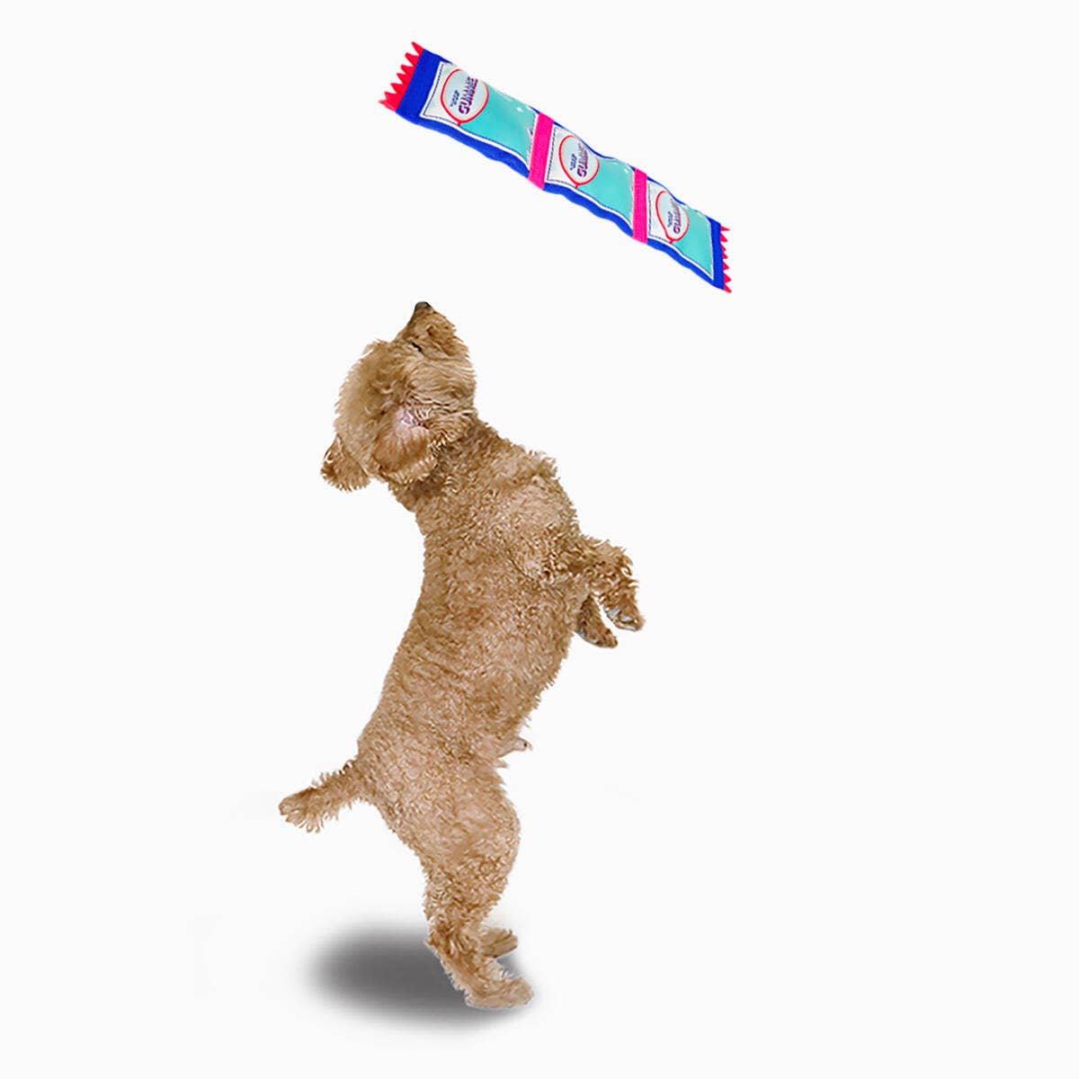 Hugsmart Products Inc - HugSmart Pet - Super Firehose | Gummy Bear - Dog Tough Toy