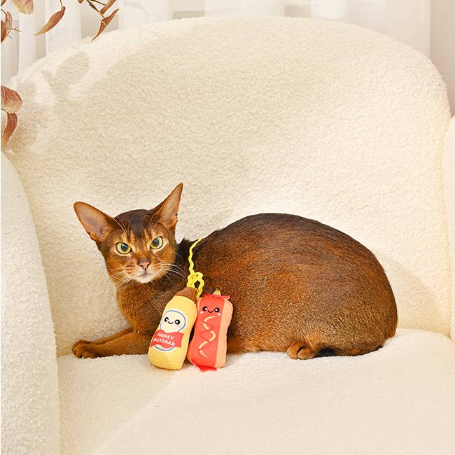 Hugsmart Products Inc - HugSmart Pet - Kitten Party | Foodie Feline  - Cat Toy