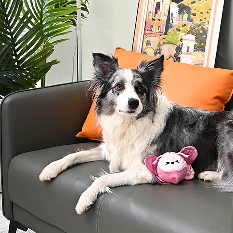 Hugsmart Products Inc - HugSmart Pet - Puppy Garden | Butterfly - Dog Ball Toy