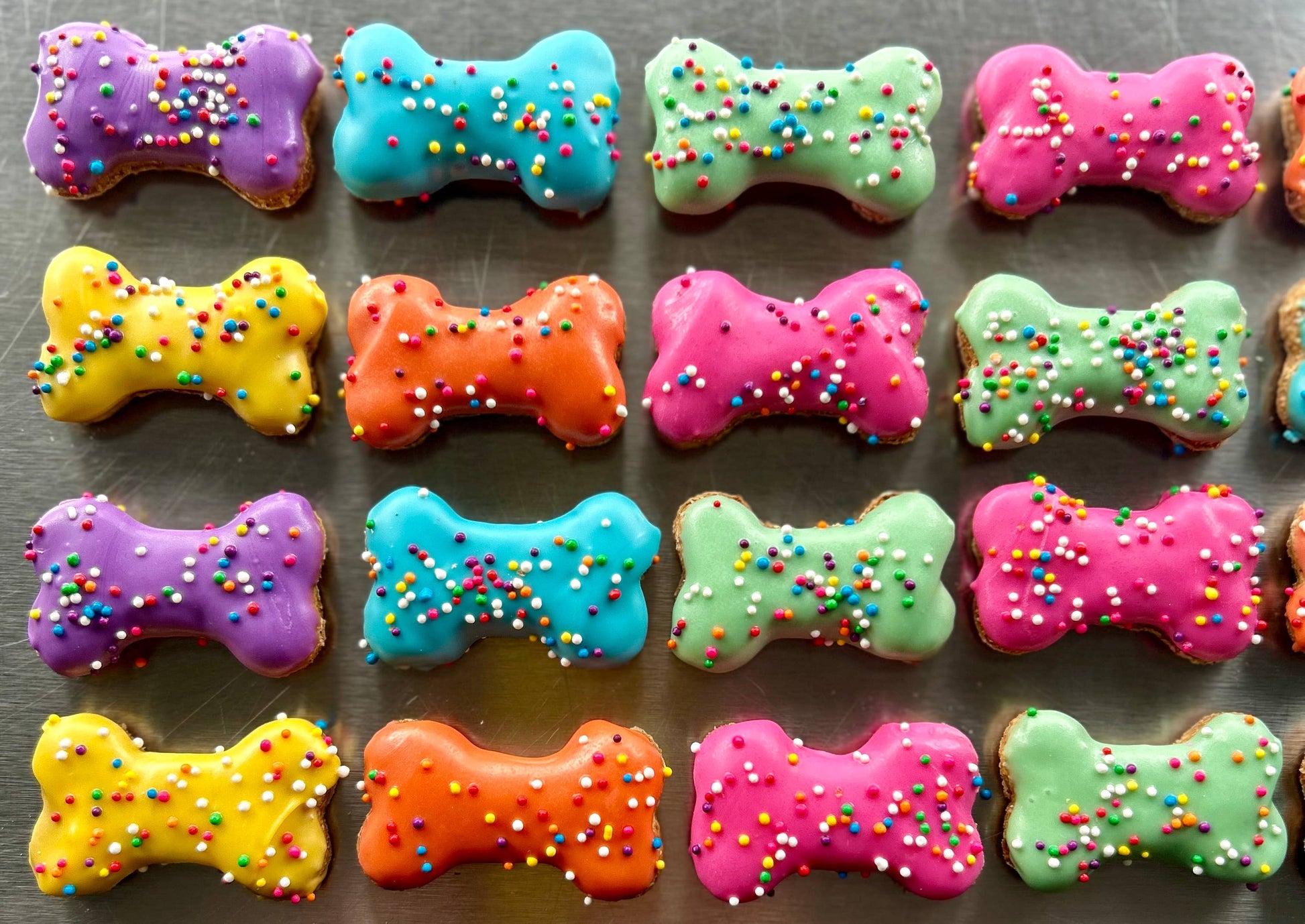YumYum4DOGS - Mini Funsies bone dog treat- Single - Doot's Pet LLC Collars For A Cause