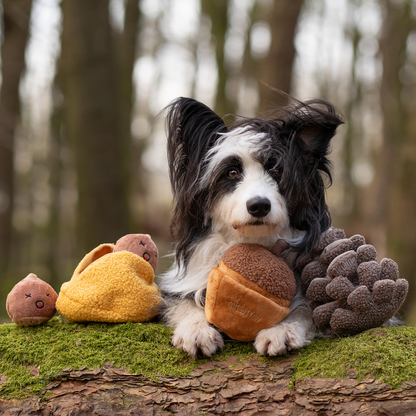 CHEWFFON - CHEWFFON Acorn Snuffle & Squeaky Dog Toy