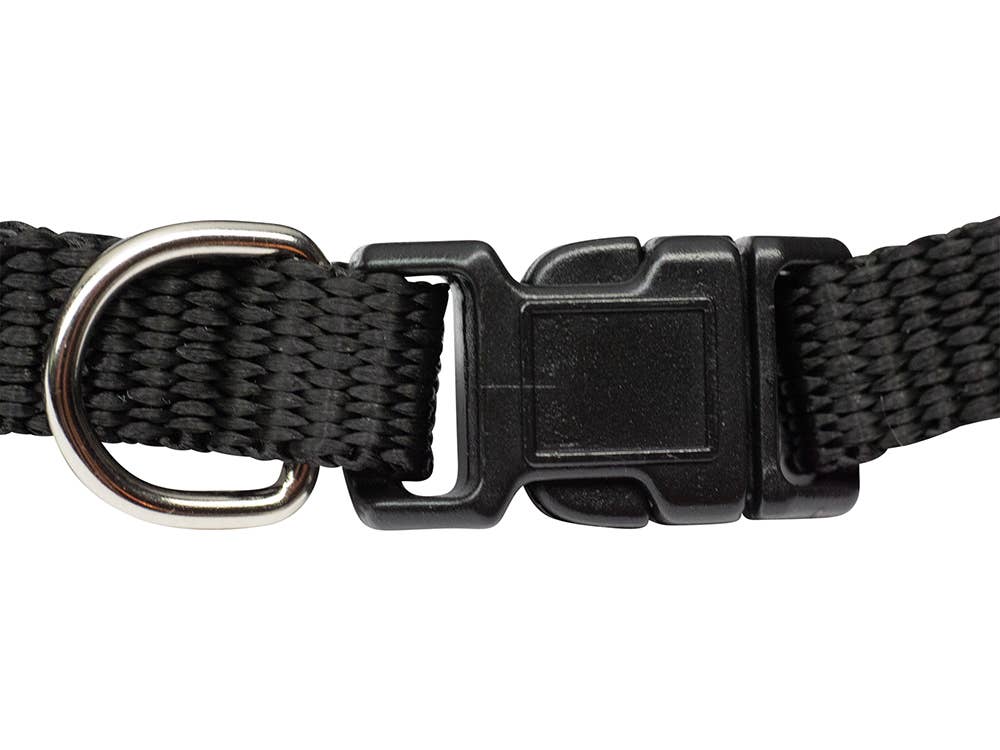 SNARK CITY - Squirrel Patrol Pet Bandana/Collar