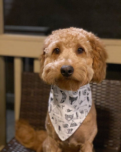 "Adventure" Dog Bandana