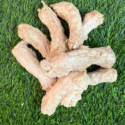 Doot's Chew Bar - Golden Nibbles - Chicken Neck - Freeze-Dried Treat for Dogs & Cats