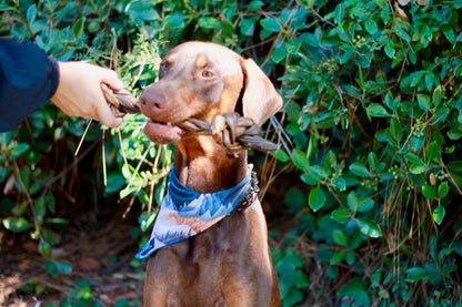 Doot's Chew Bar - Dogginstix - Braided Sticks Lamb Collagen Double Knots