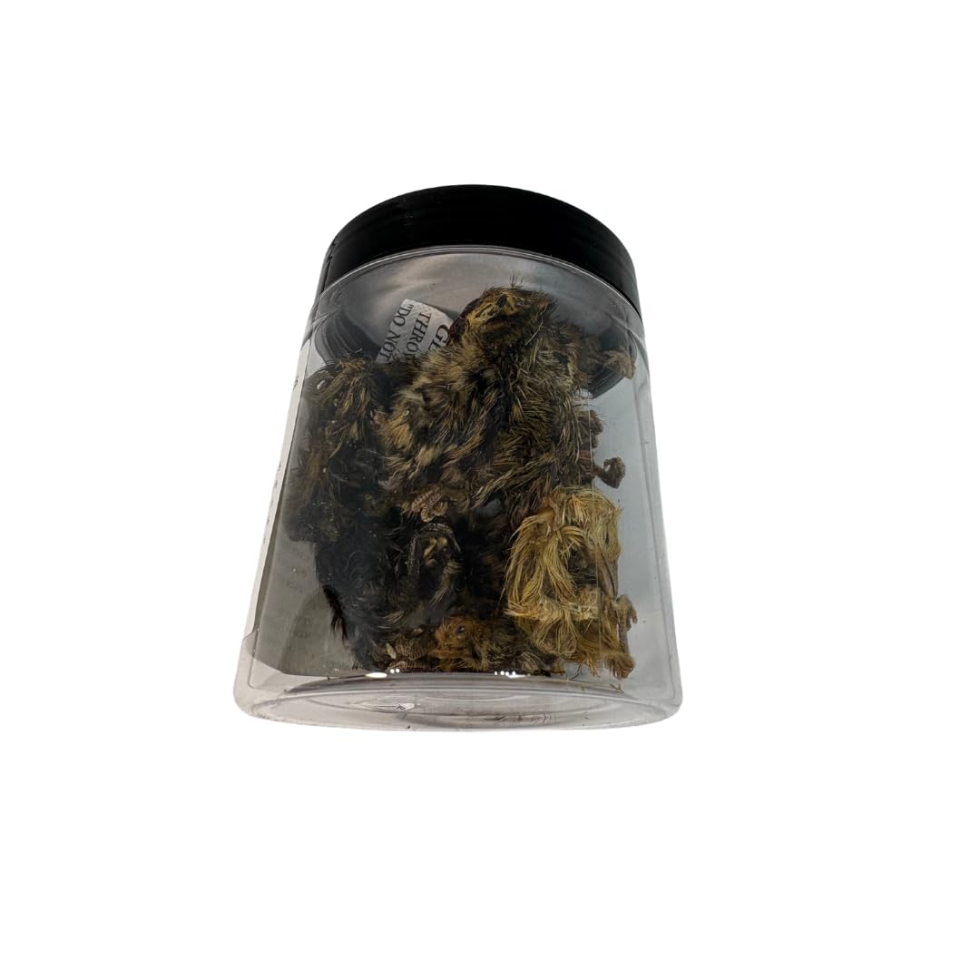 Quail Whole Chick Treats, 10 Count - Tiny, dehydrated Small Premium cat and Dog Treat - Doot's Pet LLC Collars For A Cause