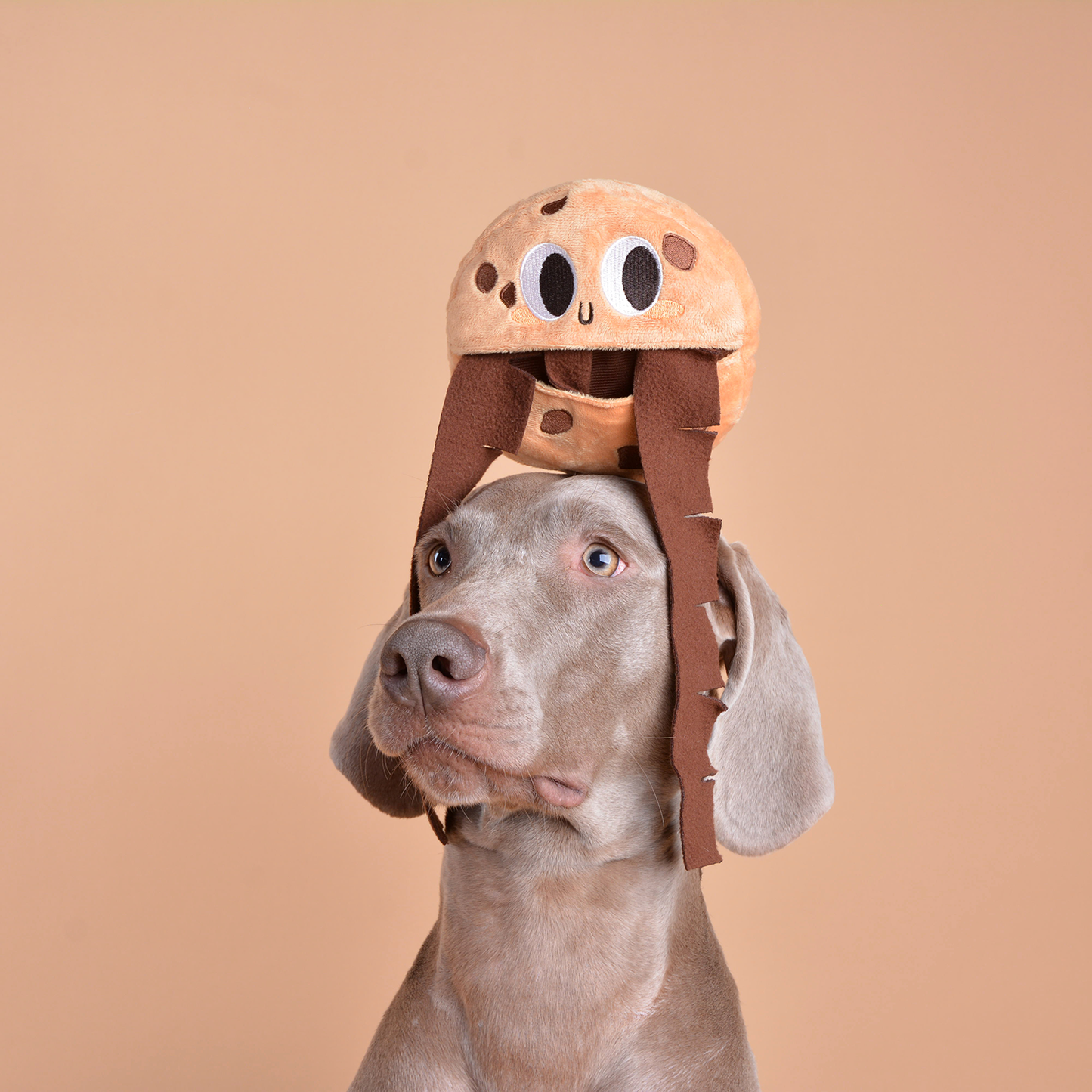 CHEWFFON - CHEWFFON Holiday Cookie Snuffle Soft Puzzle Treat Dog Toy