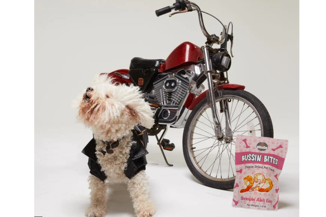 Single Ingredient, High Value Freeze-Dried Training Treats for Dogs & Cats - Shrimp