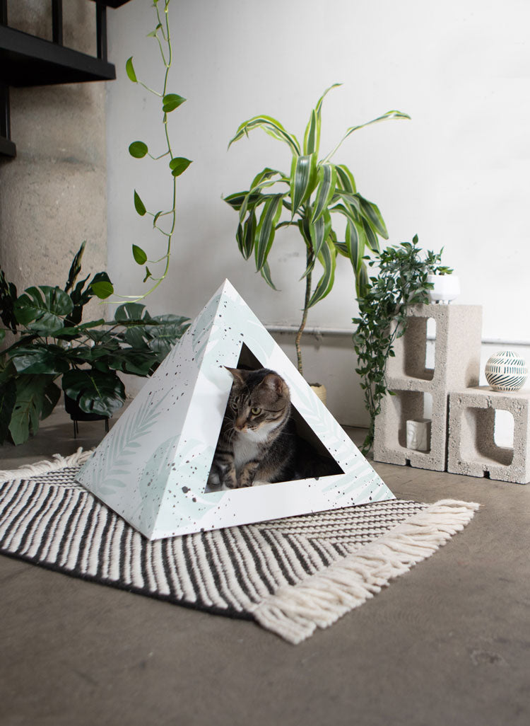 'Oasis' Cardboard Cat Pyramid | Doot's Pet LLC Collars For A Cause